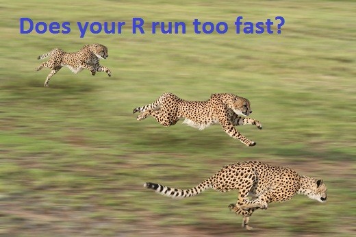 Does your R run too fast? cheetahs