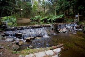 1041300_donnelys_weir